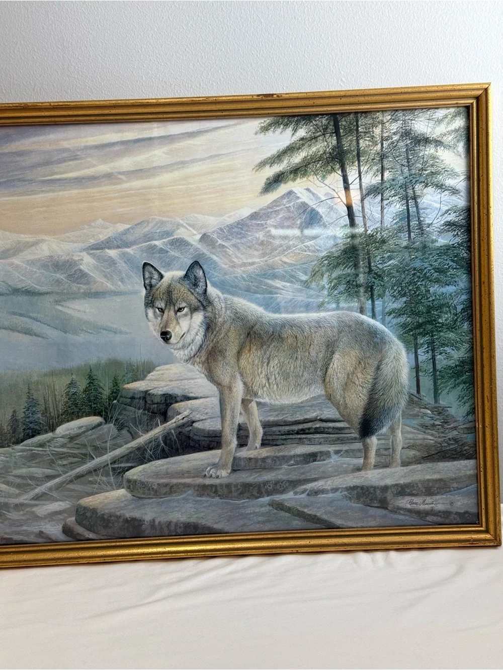 Ruane Manning striking wolf